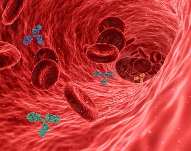 Full Blood Count Test