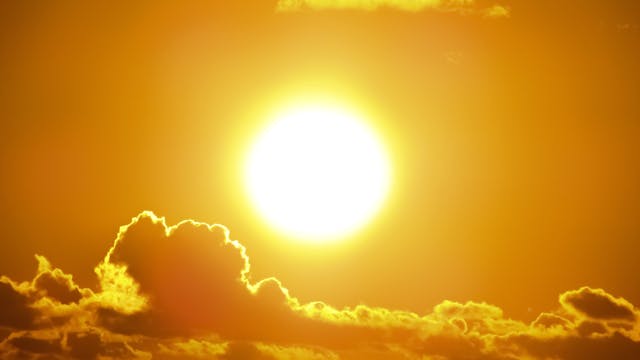 Vitamin D (25OH) Blood Test